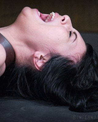 Olivia fawn ist dabei zu lernen, dass es einen Preis für zügelloses Flirten gibt. sie c
 #71915164