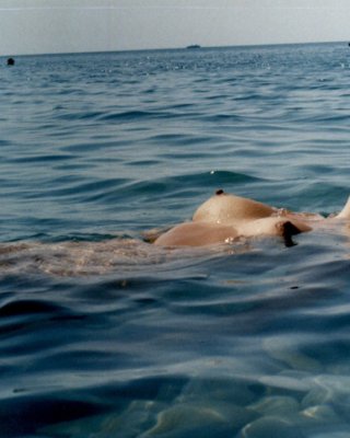 Bawdy Observe a naked chick at the seashore tan her very hot entire body