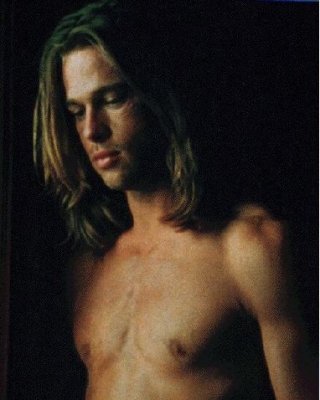 Sexy Hollywood hunk Brad Pitt nude #76966362