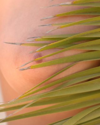彼女の休暇中に外で裸取得ティーンアリソン天使の写真
 #53013690