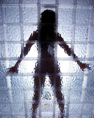 Bilder von devon lee, die den Körper eines heißen Hengstes genießt
 #54046854