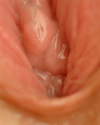 Bilder von einem heißen blonden Teenager Lacey, der mit ihren Muschilippen spielt
 #60462699