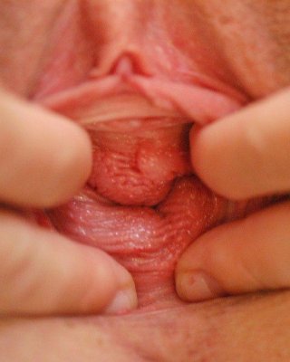 Bilder von amber, die mit ihrer feuchten Vagina spielt
 #60447449