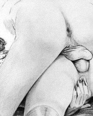 arge Assorted Erotic Drawings