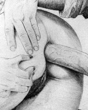 arge Assorted Erotic Drawings