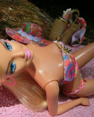 11 Barbie Sunbathing (Doll)