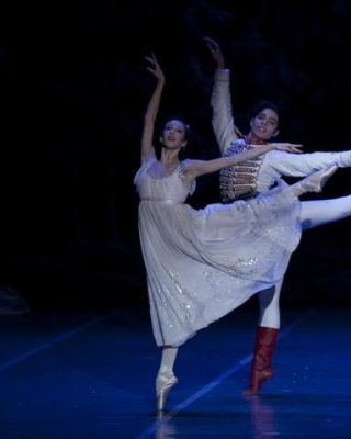 Ballerinas
 #94466535
