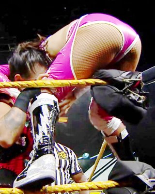 320px x 400px - Aliyah wwe nxt Porn Pictures, XXX Photos, Sex Images #3687605 - PICTOA