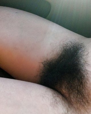 Haarig
 #91568086