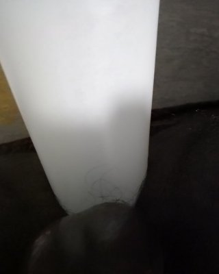 My ass extream fun #107307366