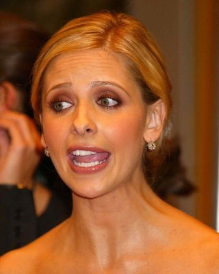 Sexy Sarah Michelle Gellar - 2004 Prem