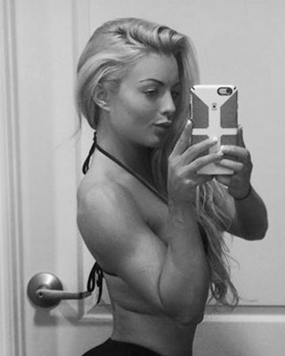 Babes des Wrestling
 #92448804