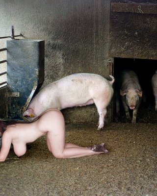 Pigs Porn - BDSM pigs Porn Pictures, XXX Photos, Sex Images #3950642 - PICTOA