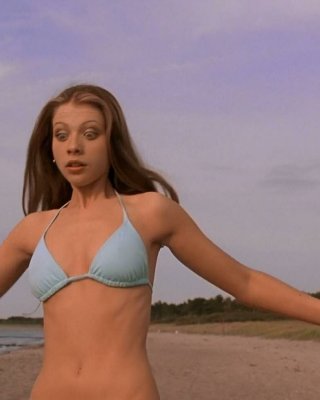 Michelle Trachtenberg nackt #108453662
