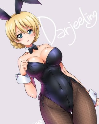 Bunnyswits anime girls
 #98402011