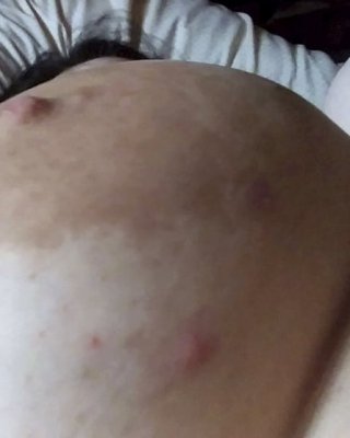 Kashyykkrのペットの雌犬
 #100518373
