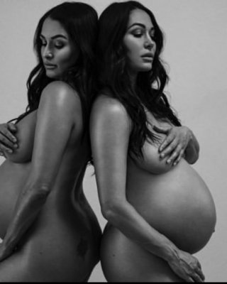 Bella Twins Porn - Bella Twins Nude Porn Pics Leaked, XXX Sex Photos - PICTOA