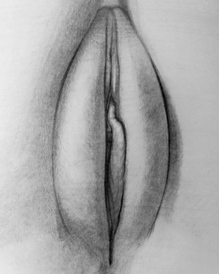 Erotic Art Drawings 5