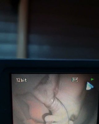 Meine Schlampe
 #105490479