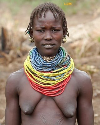 african Saggies