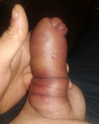 may dicckxxx #107183523