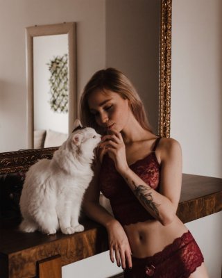 Flavia sayuri (sasa)
 #82229041