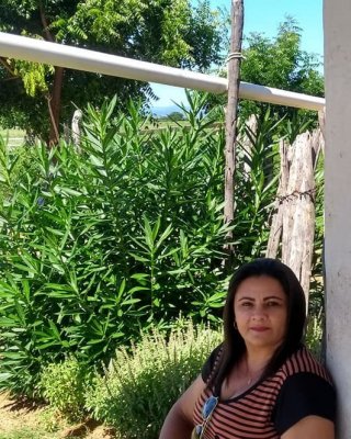 Coroa gracinha
 #93581188
