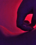 Erotic Gifs