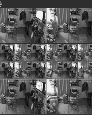 Ip cam ficken
 #80939093