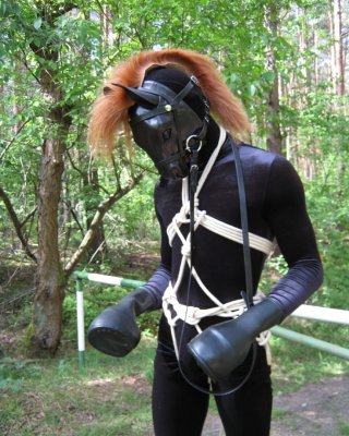 Pony Mädchen
 #101426804