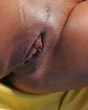 Png 2k20 milfs exposed
 #89865255