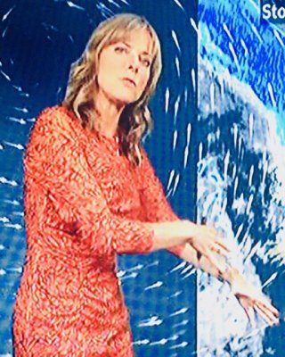 Cougar Town- Louise Lear #92572943