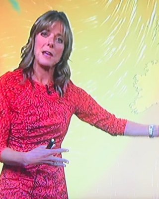 Cougar Town- Louise Lear #92572964