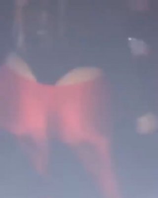 Diamonddoll Pawg Galerie 3
 #92409357