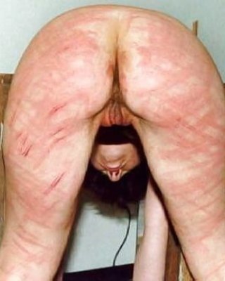 厳格な教育を受けていれば問題ない（33歳
 #80267367