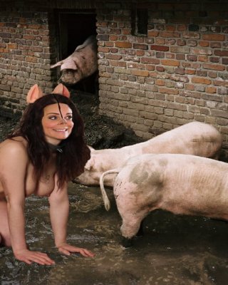 320px x 400px - Jeu de cochon Photos Porno, Photos XXX, Images Sexe #3875330 - PICTOA