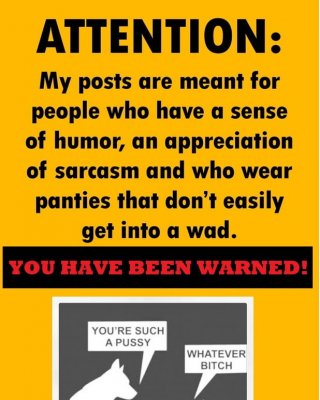 Fifty shades of insane and crazy (no sex!)
 #104764713