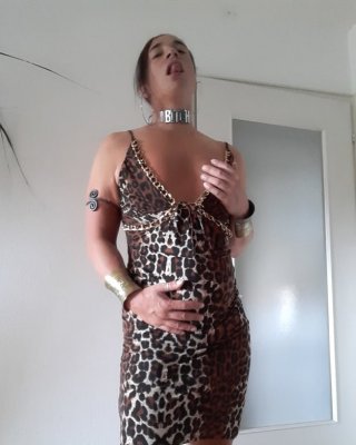 Tygra slut in leopard dress for Longdick Jack. #107181045