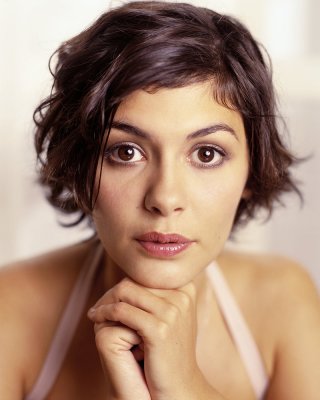Audrey tautou
 #104563099