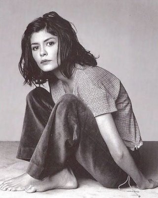 Audrey tautou
 #104563113