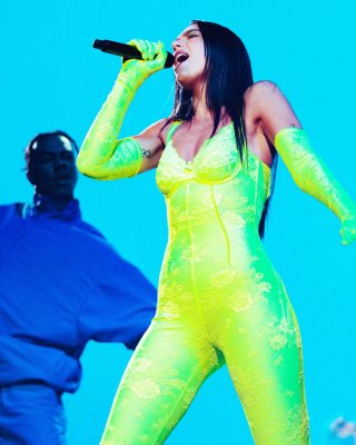 Dua Lipa nackt #107662934