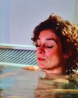 Alex Polizzi, The Hotel Inspector