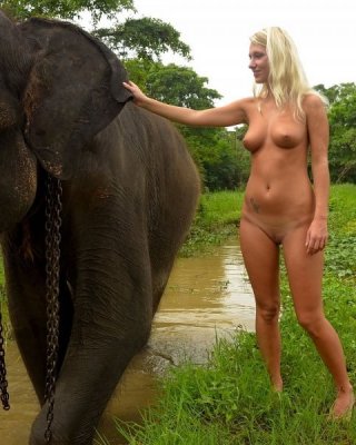 Elephent Porn - Foreign girl nude with an elephant in Sri lanka Porn Pictures, XXX Photos,  Sex Images #3752439 - PICTOA