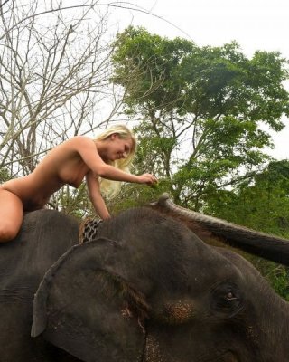 Xxx Girl Elephant - Foreign girl nude with an elephant in Sri lanka Porn Pictures, XXX Photos,  Sex Images #3752439 - PICTOA
