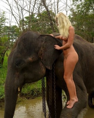 Foreign Girl Nude With An Elephant In Sri Lanka