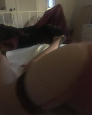 Nymph sex session in stockings, suspenders and bra #81804065