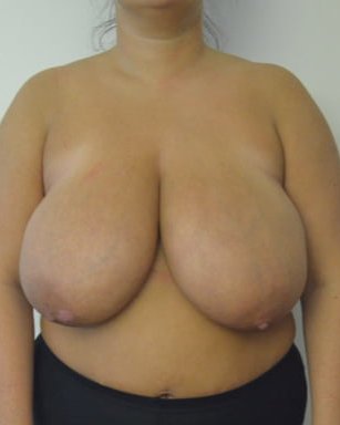 Great tits 18_24 #81897665