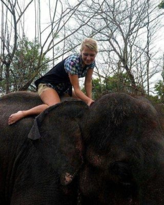 Xxx Girl Elephant - Elephant with naked blonde Woman Porn Pictures, XXX Photos, Sex Images  #3757444 - PICTOA