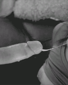 Rauh - leidenschaftlich - intensiv - wild - Cumshot Gifs
 #100821842