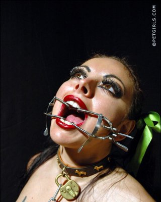 Bondage And Sissies Gagged 3